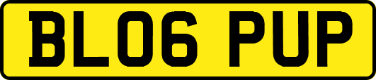 BL06PUP