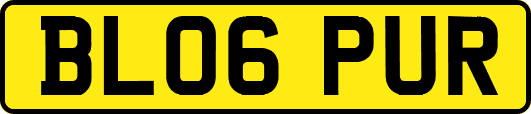 BL06PUR