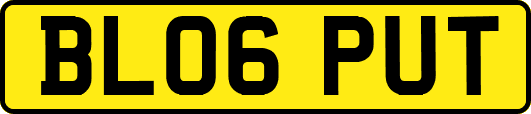 BL06PUT