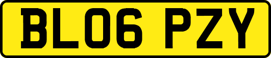 BL06PZY
