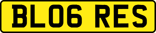 BL06RES