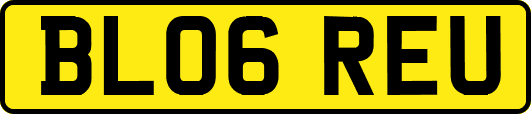 BL06REU
