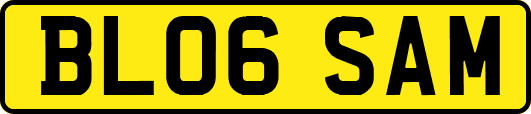 BL06SAM