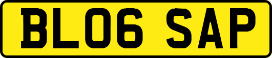 BL06SAP