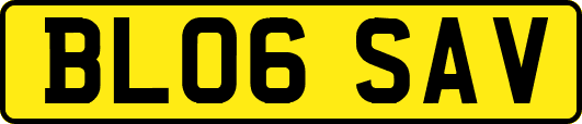 BL06SAV