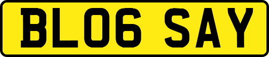 BL06SAY