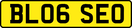 BL06SEO