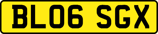 BL06SGX