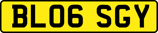 BL06SGY