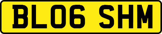 BL06SHM