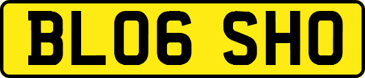 BL06SHO