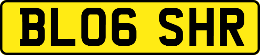 BL06SHR