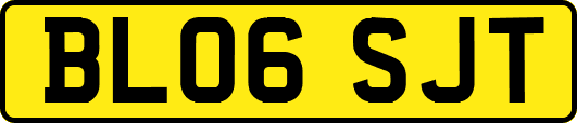 BL06SJT
