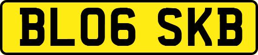 BL06SKB