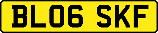 BL06SKF