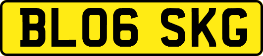 BL06SKG