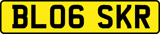 BL06SKR