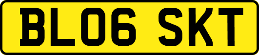 BL06SKT