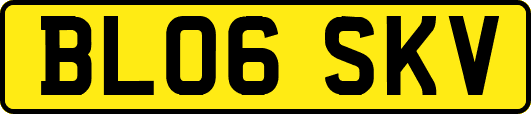 BL06SKV
