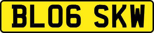 BL06SKW