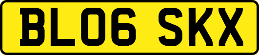 BL06SKX
