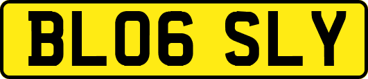 BL06SLY