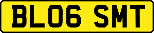 BL06SMT