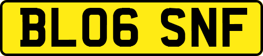 BL06SNF