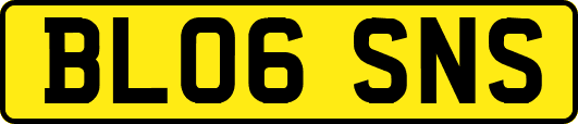 BL06SNS