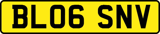 BL06SNV