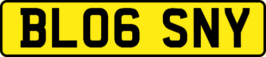 BL06SNY