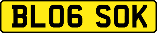 BL06SOK