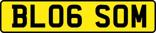 BL06SOM