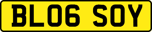 BL06SOY