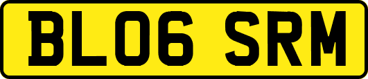 BL06SRM