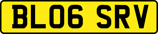 BL06SRV