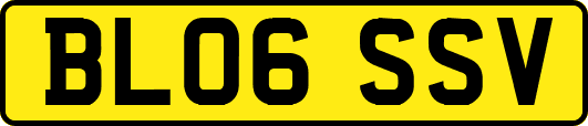 BL06SSV