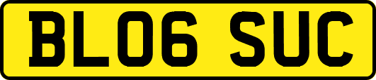 BL06SUC