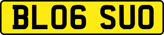 BL06SUO