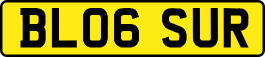 BL06SUR