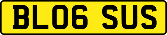 BL06SUS