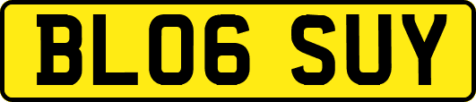 BL06SUY