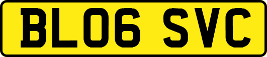 BL06SVC