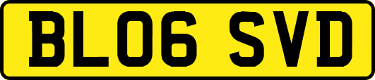 BL06SVD