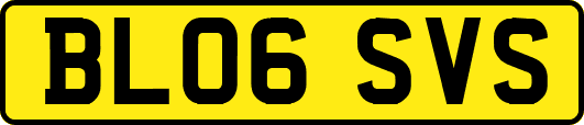 BL06SVS