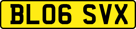 BL06SVX
