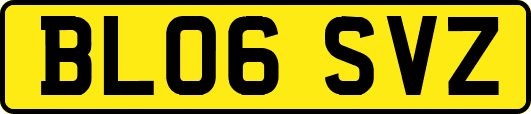 BL06SVZ