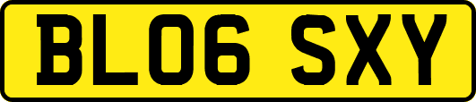 BL06SXY