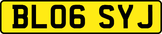 BL06SYJ