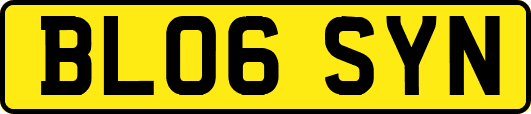 BL06SYN